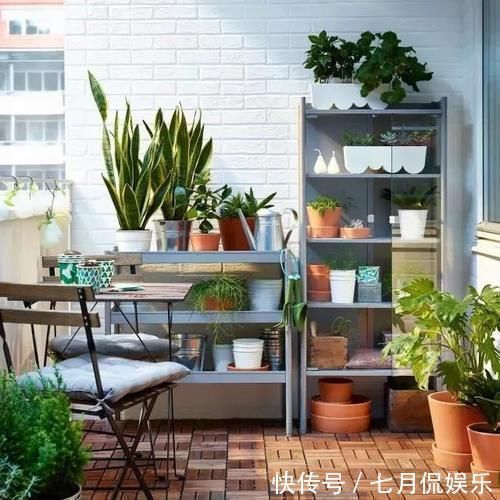 闲人|这样的阳台,那院子我也不换,美得太过分,今生只做个闲人了!