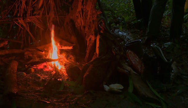 小说#5本荒岛求生小说,求生过程紧张刺激,只看一眼便沉沦