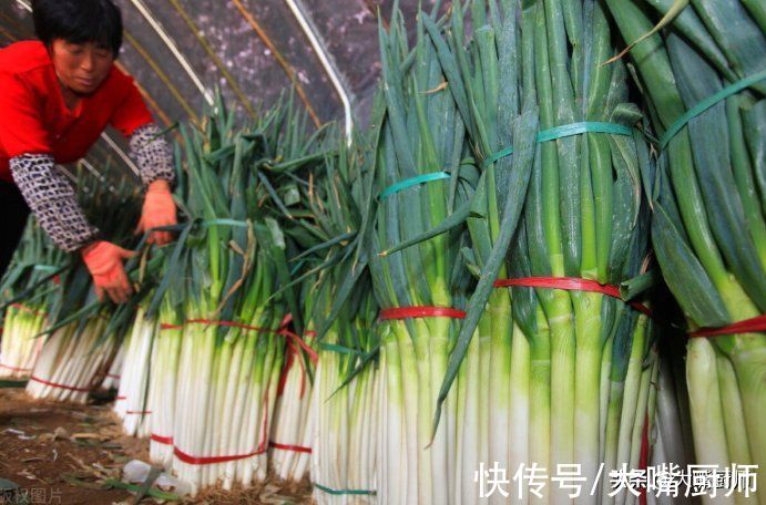大葱别直接放地上，葱农教我3个小妙招，放半年不变质，特别新鲜