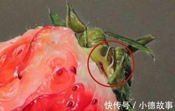 幅画!他画了一颗烂草莓卖了二十万,有人提出质疑,放大十五倍看