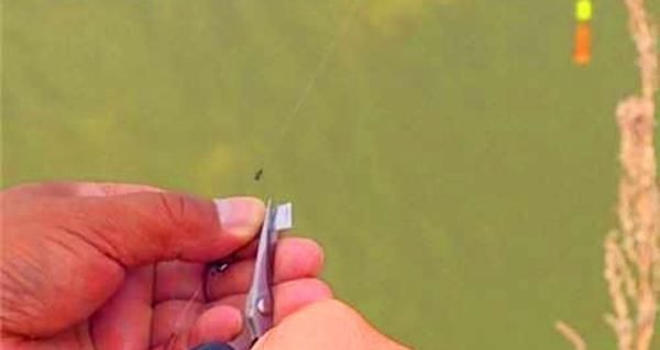 调漂技巧带饵调漂的操作要领和公式,按照公式调漂,肯定错不了