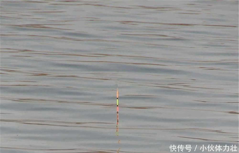 鲤鱼咬钩的经典漂相,出现这些漂相时,心跳加速,一定是大鲤鱼!