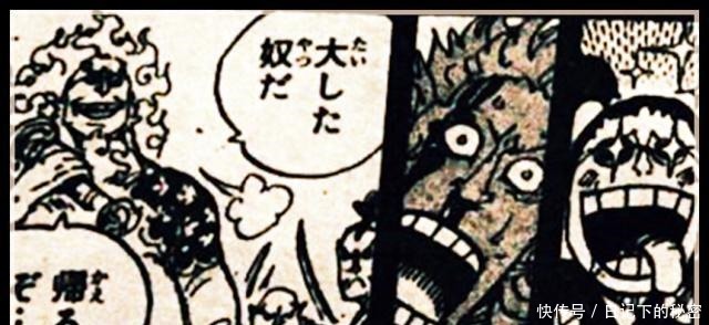 双刀|海贼王961话解读光月御田使出双刀流的斩龙绝技,击败野猪之神