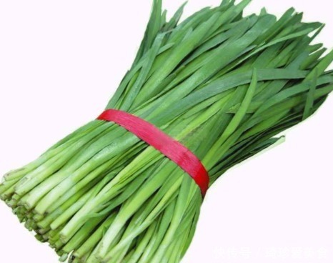 知识|买韭菜时,韭菜宽叶和细叶的区别很大,不懂别瞎买,看完长知识了