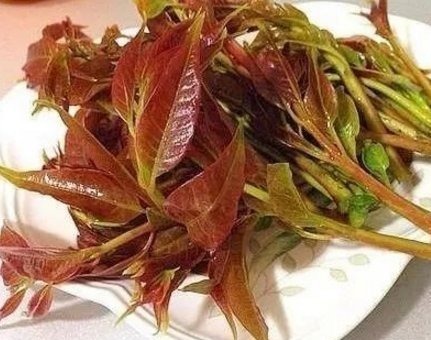 碳水化合物|糖尿病七种菜不能吃，吃了后对降血糖不利，务必告诉家人