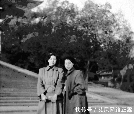 父母|苏青与张爱玲关系莫逆,一是因为互相欣赏,也是因为两人过于相像