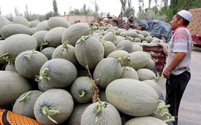 改过来|400年前康熙叫错一水果名,国人跟着错了400年,至今还没改过来