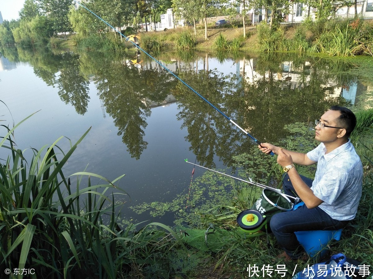 制作发酵玉米粒去钓鱼，进窝全是大鲤鱼、草鱼，效果不会让你失望