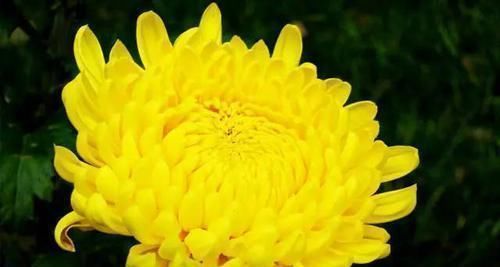 心脑血管病|高血压不用依靠“药”，常吃这5种食物，或能帮您控制血压更健康