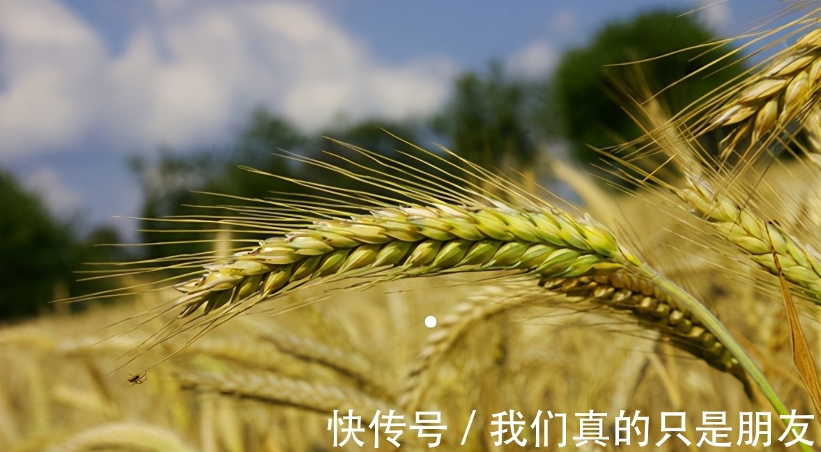 盾牌@智者深藏,愚者炫耀