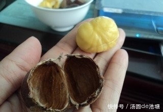 板栗|板栗壳不要扔了,用水煮一煮,能解决很多人的问题,早知早好