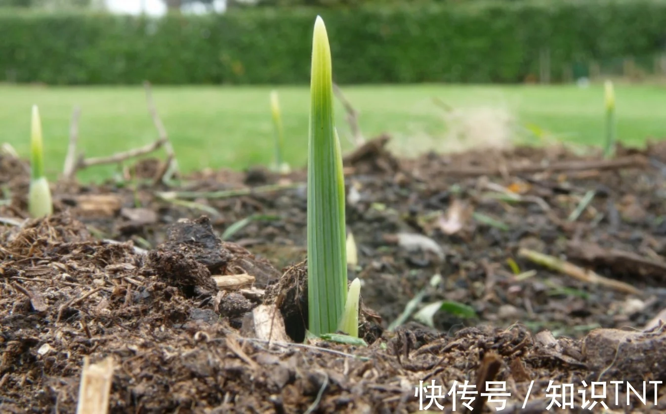 火化是不是浪费资源？动物死后都会生态循环，火化打破自然规律？