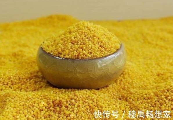 小米粥|煮小米粥,挑选小米是关键,牢记3技巧,快速开花,米油厚不溢锅