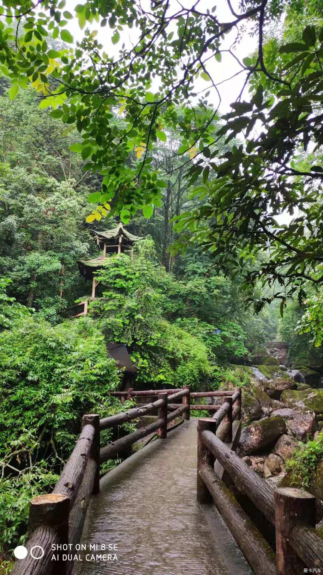 桃花源|醉氧青城后山