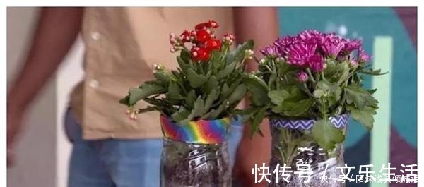 养花|你扔掉的塑料瓶我用来养花，生根快，开花多，别有一番风味！