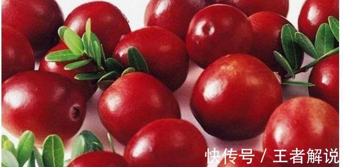 蔓越莓|每天晚上坚持吃3种食物,排毒养颜、延缓衰老,好吃又不贵!