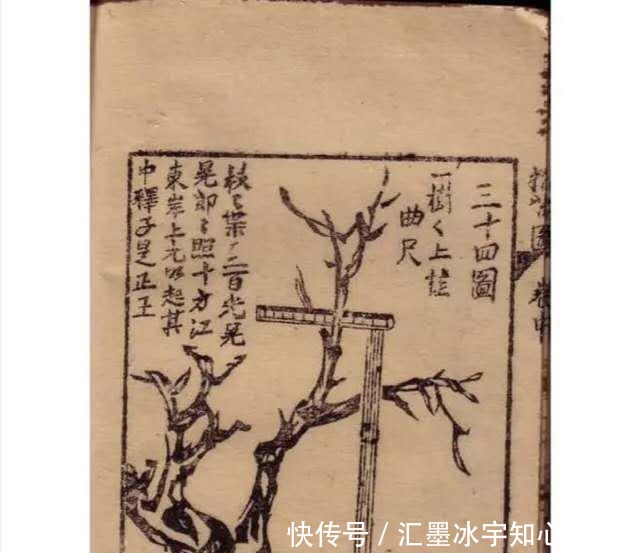 奇书|家有一本奇书实在看不懂