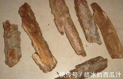 养杜鹃花,家中常备这2种水溶液,保管盆栽叶子绿、开花旺
