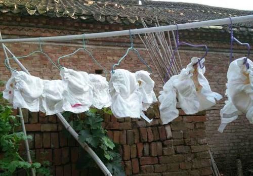 伤害|“新型把尿”正在伤害孩子，父母别只图省钱省事，这件事别再做了