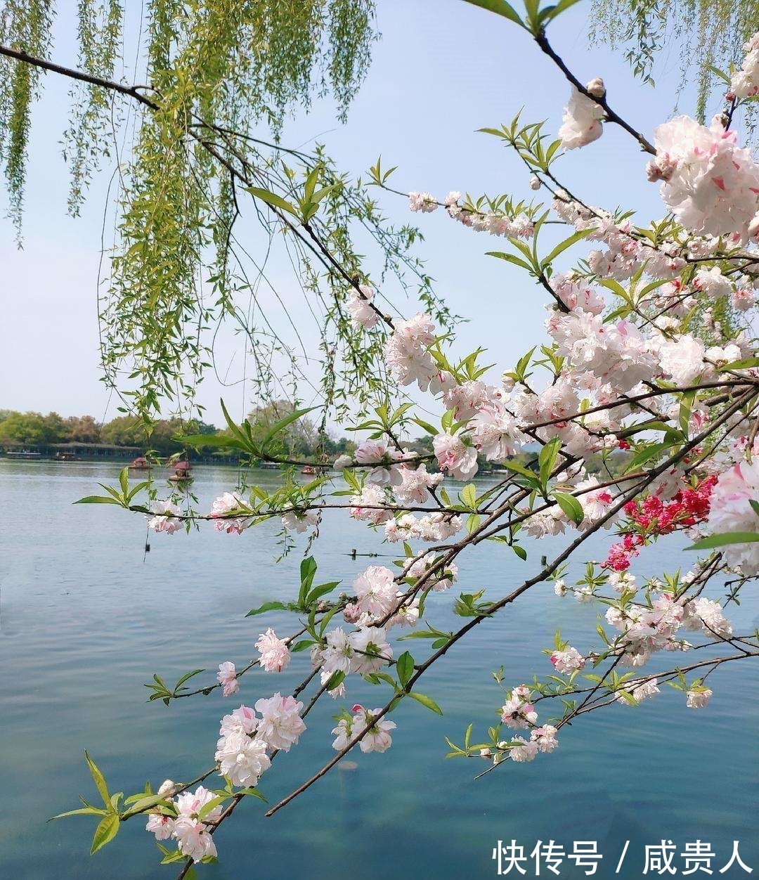 韦应物$哲理诗三首，世事荏苒几盈虚，茫茫难自料，心态最重要