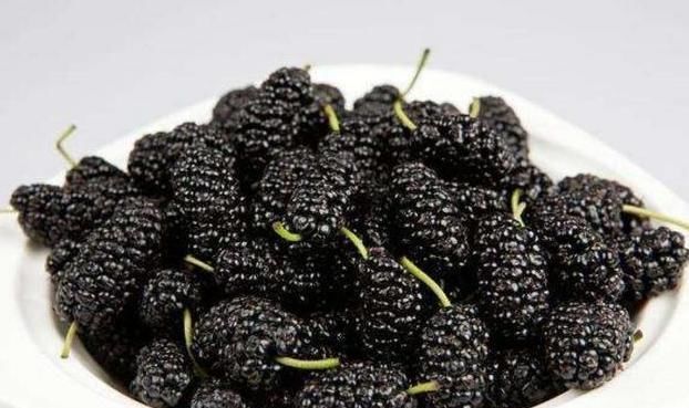 鸡汤|建议中老年人:少吃肉少喝酒,多吃下面“几物”,强过天天喝鸡汤