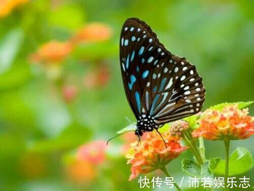 同房|夫妻一周“做事”几次才算正常在这个范围内,说明你比较健康