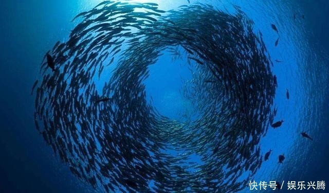 海沟 马里亚纳海沟1万米深处的水还是液态的吗？温度是多少？