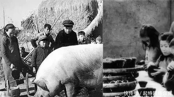 反法西斯战争|二战重要物资:中国猪毛对反法西斯战争居功甚伟!