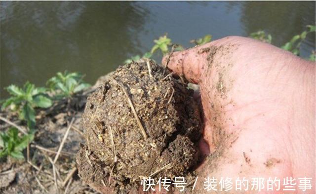 钓鱼|钓鱼中的“独家秘方”，只有民间野钓高手才懂，上鱼多是有原因的