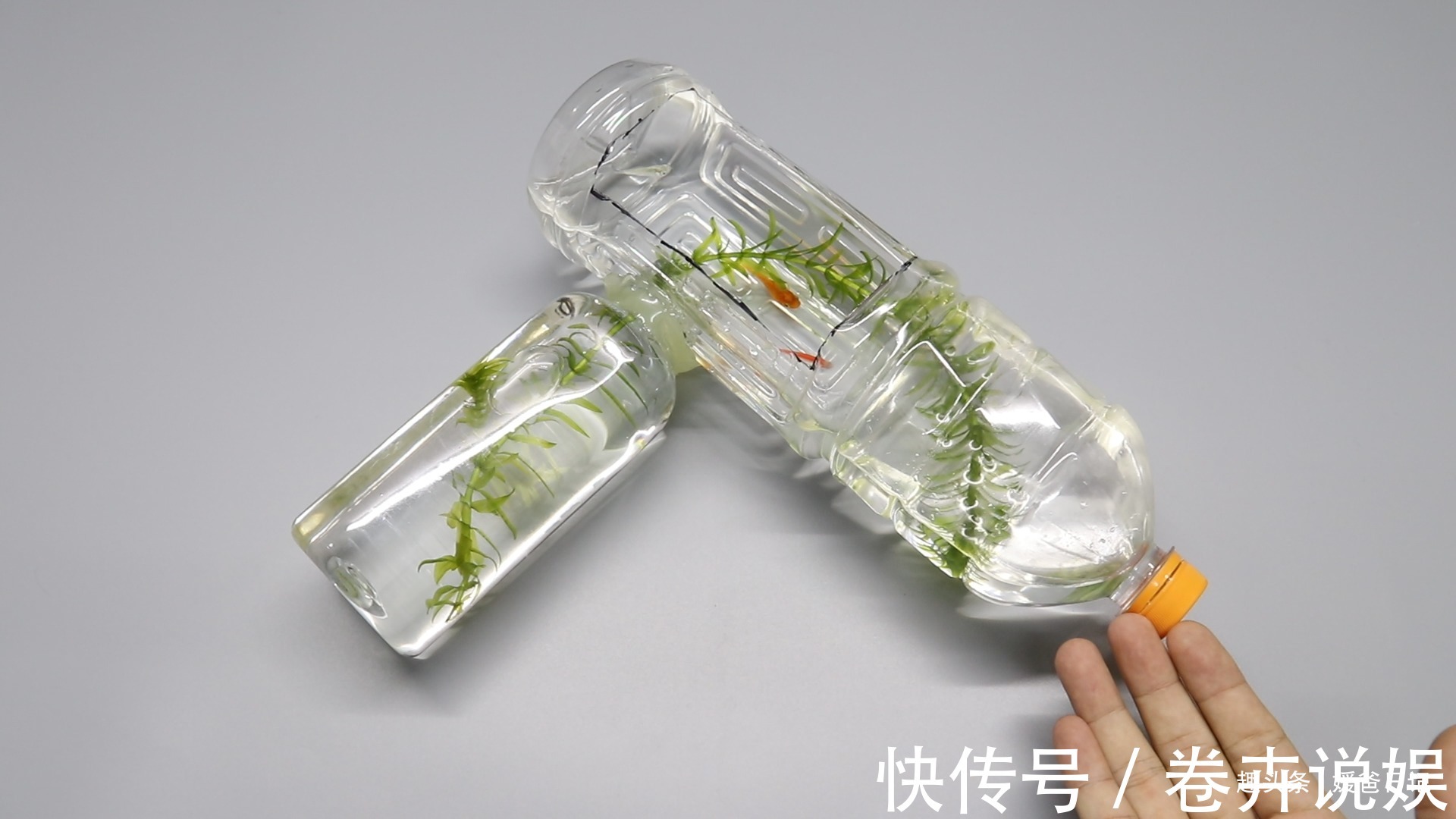 塑料瓶卖了不值钱，可以用来制作鱼缸，锻炼下孩子的动手能力