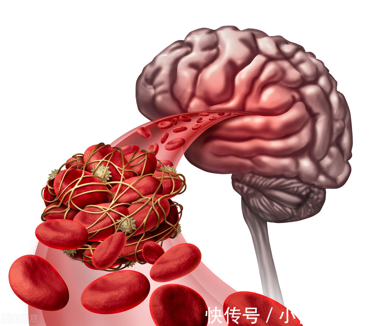 养生|今日大雪：老年人要重点防好3种疾病，养生要重点做好5件事