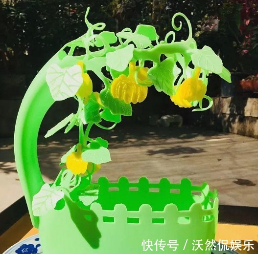 1物|花盆不用买随手拿“1物”，放点土进去，比买的花盆还好看！