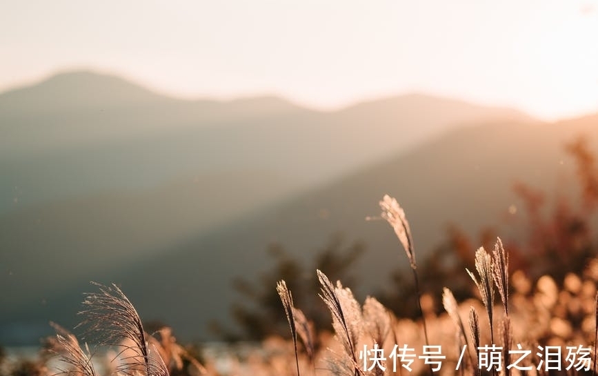 唐·杜牧#杜牧旅途中独宿旅馆，失眠时写下一首诗，尾联空灵静美