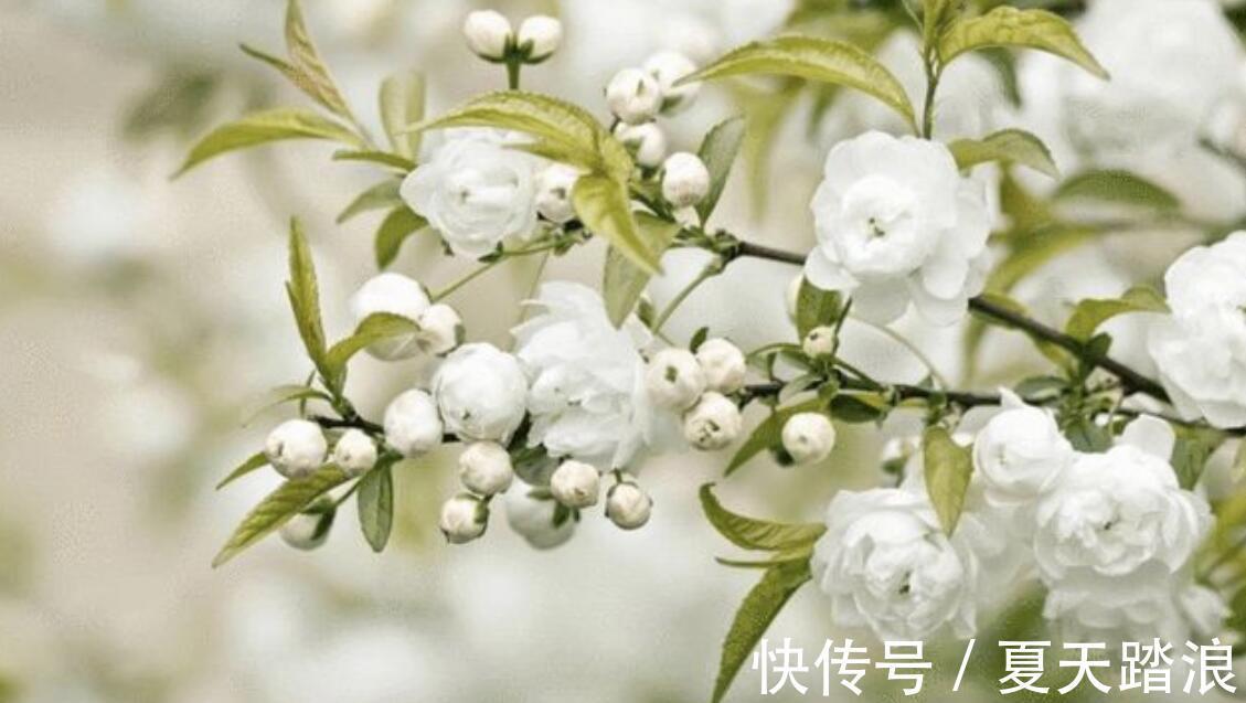 祥云|7月最后5天好运不请自来，哪些星座富贵祥云财运难断