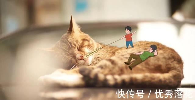 气虚|气血不足的人好累，三步回血摆脱「丧」感！