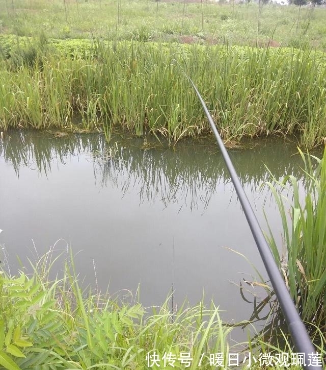 鱼儿|夏季夜钓时，这三个找鱼技巧要学会，诱鱼省时又省力