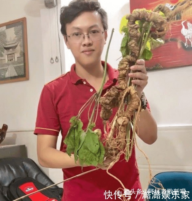 tr百年越南珍珠參，男子花10億拍下，轉手沒人要只好放進冰箱保鮮