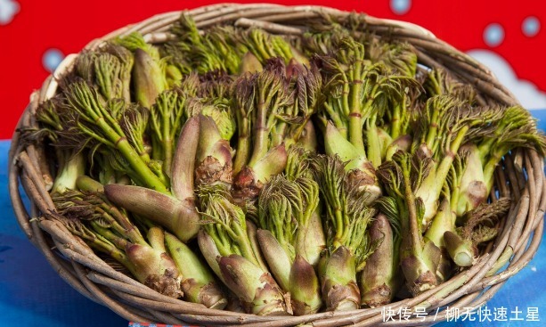 吃法|夏季挖野菜，送你64种野菜图片大全，教你认识不同的野菜和吃法！