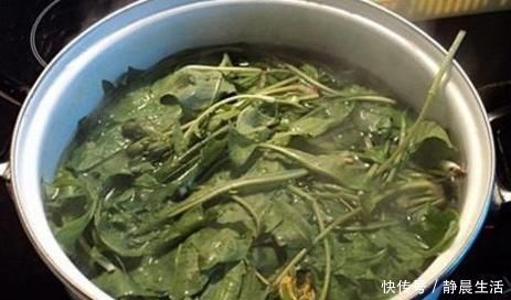 蒲公英|蒲公英同它一起泡水喝，养生效果翻倍，后悔现在才知道！