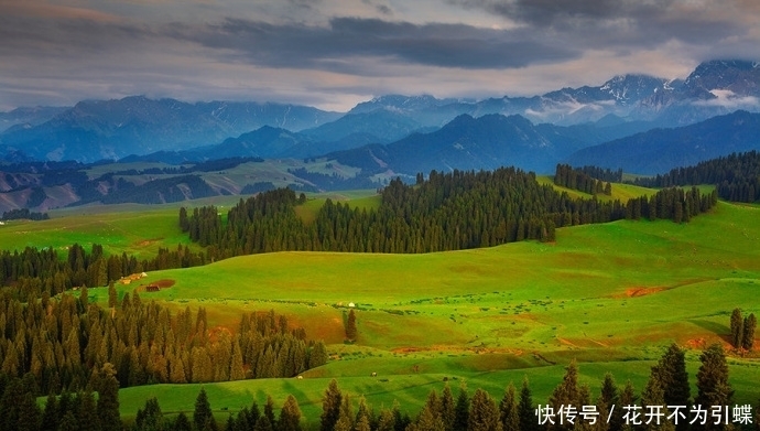 新疆风景｜江布拉克——随便打开一张都是电脑桌面