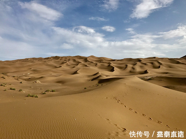 毛乌素 千年沙漠变绿洲美国卫星发现不寻常一幕，中国完成一前无古人壮举