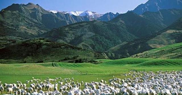 十部顶级种田文小说,质量上佳口碑好,你追过几部?