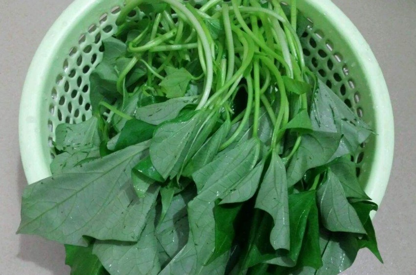 月经|吃了天然“调经菜”，月经规律了，不痛经，子宫更健康，可多吃