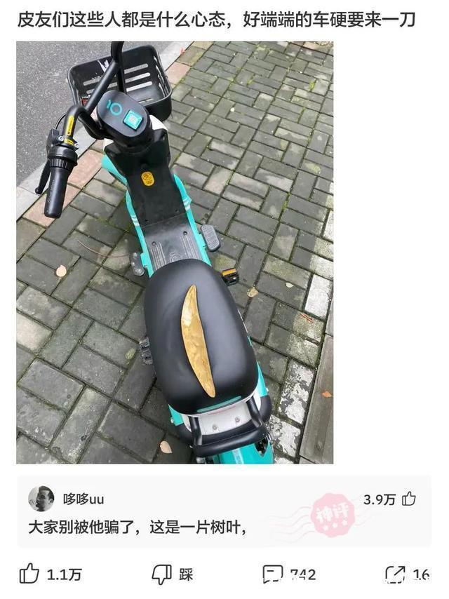 |神评段子合集:照片上有个熊猫就算了,居然还有个上发条的