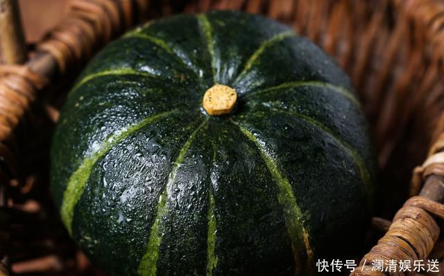 坐果|迷你可爱的板栗南瓜,按着这五点种植,南瓜能结一大堆
