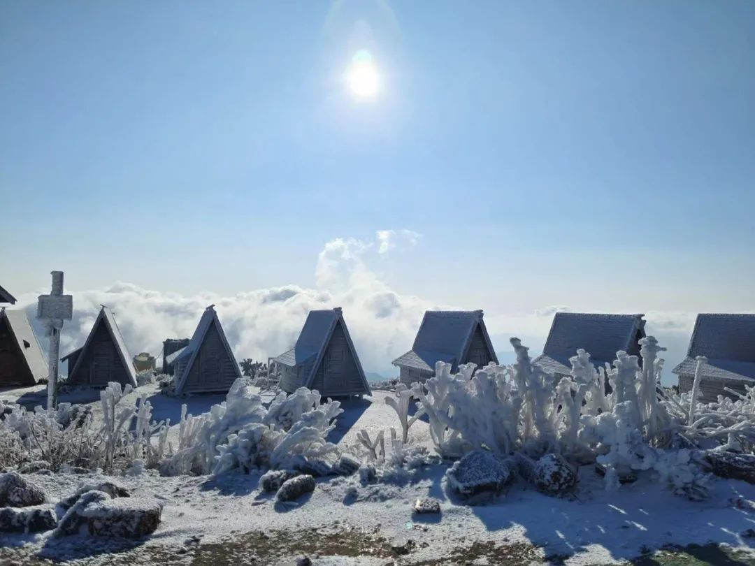 雪景|太美了！台州最新雪景！括苍山跌至-10℃，再现云海奇观（多图多视频）