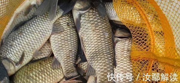 调漂|冬钓大鲫鱼，用长竿短线双铅钓法，没有比这更好的方法！