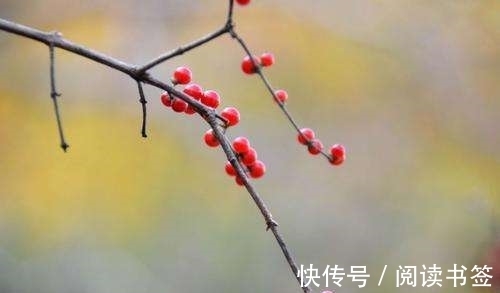 九月九日忆山东兄弟&王维10大名诗排行,《九月九日忆山东兄弟》仅第六,前五是何诗?