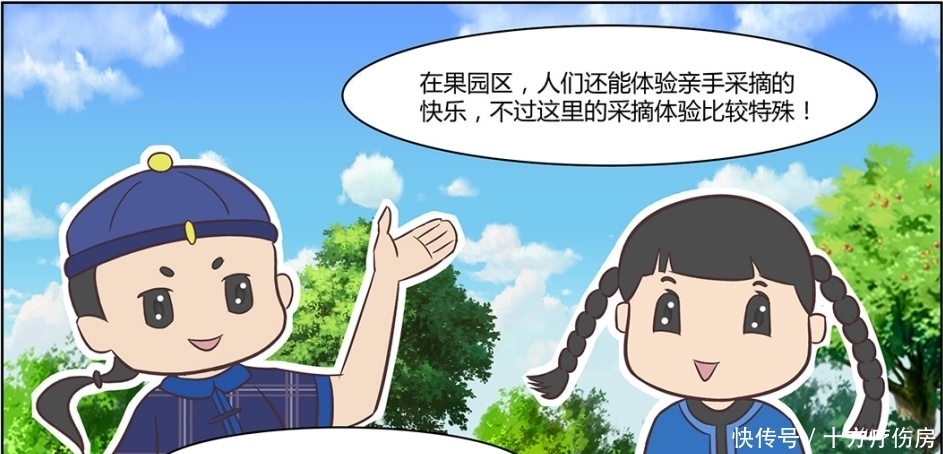 漫画|【连环漫画】“乌小哈”和“乌小娘”，向你安利崇明开心农场~