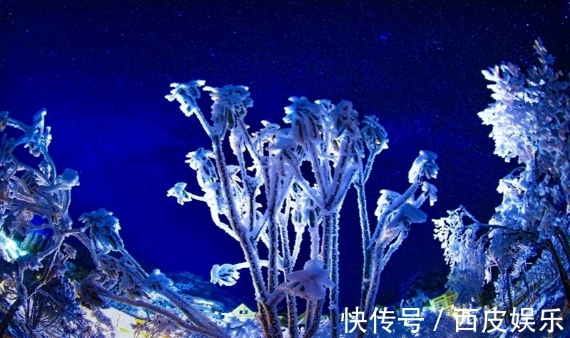 诗家词人$风雪寒天、冬夜漫漫,常人梦正酣,却有诗家词人辗转反侧为哪般?